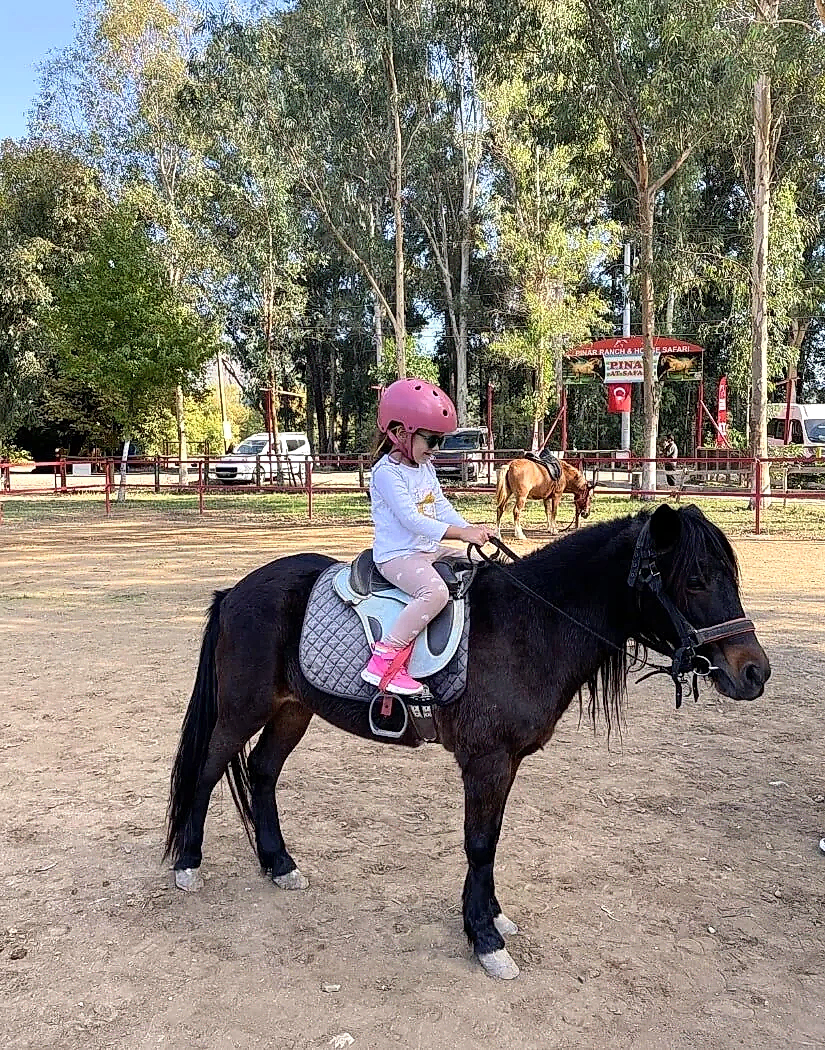 Marmaris Pınar At Safari Turu