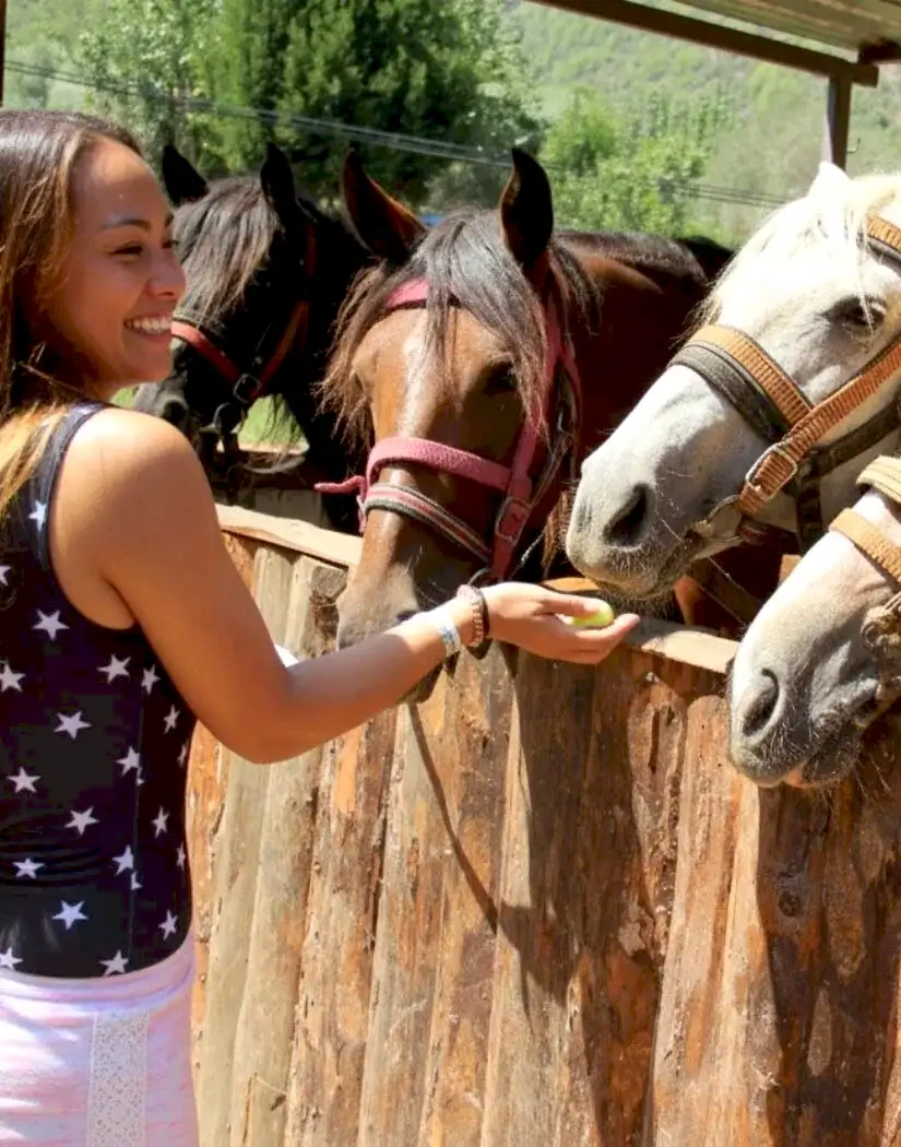 Marmaris Pınar At Safari Turu