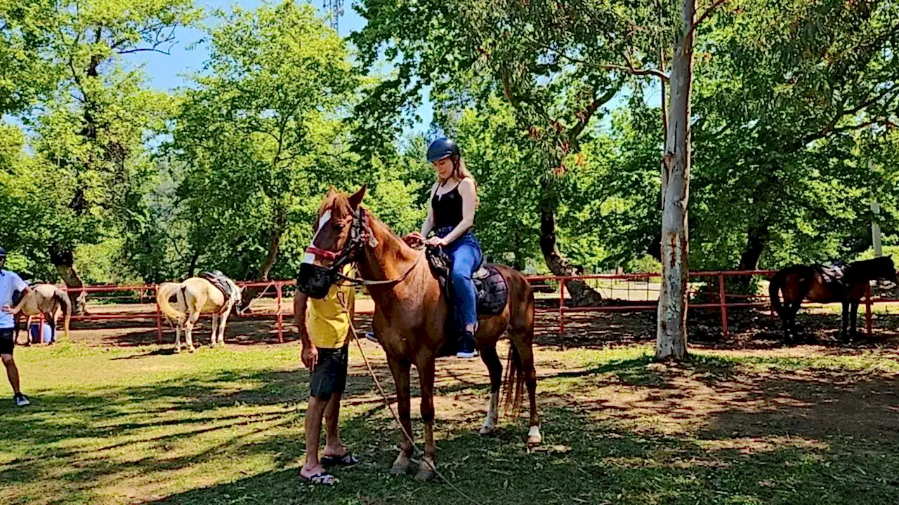 Marmaris Pınar At Safari Turu