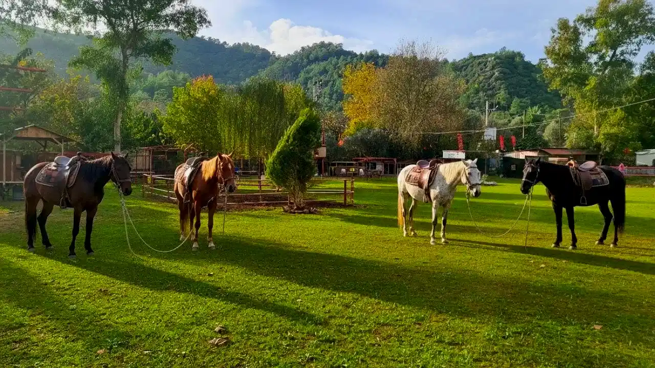 Marmaris Pınar At Safari Turu