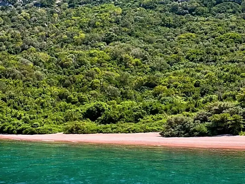Yeşildeniz