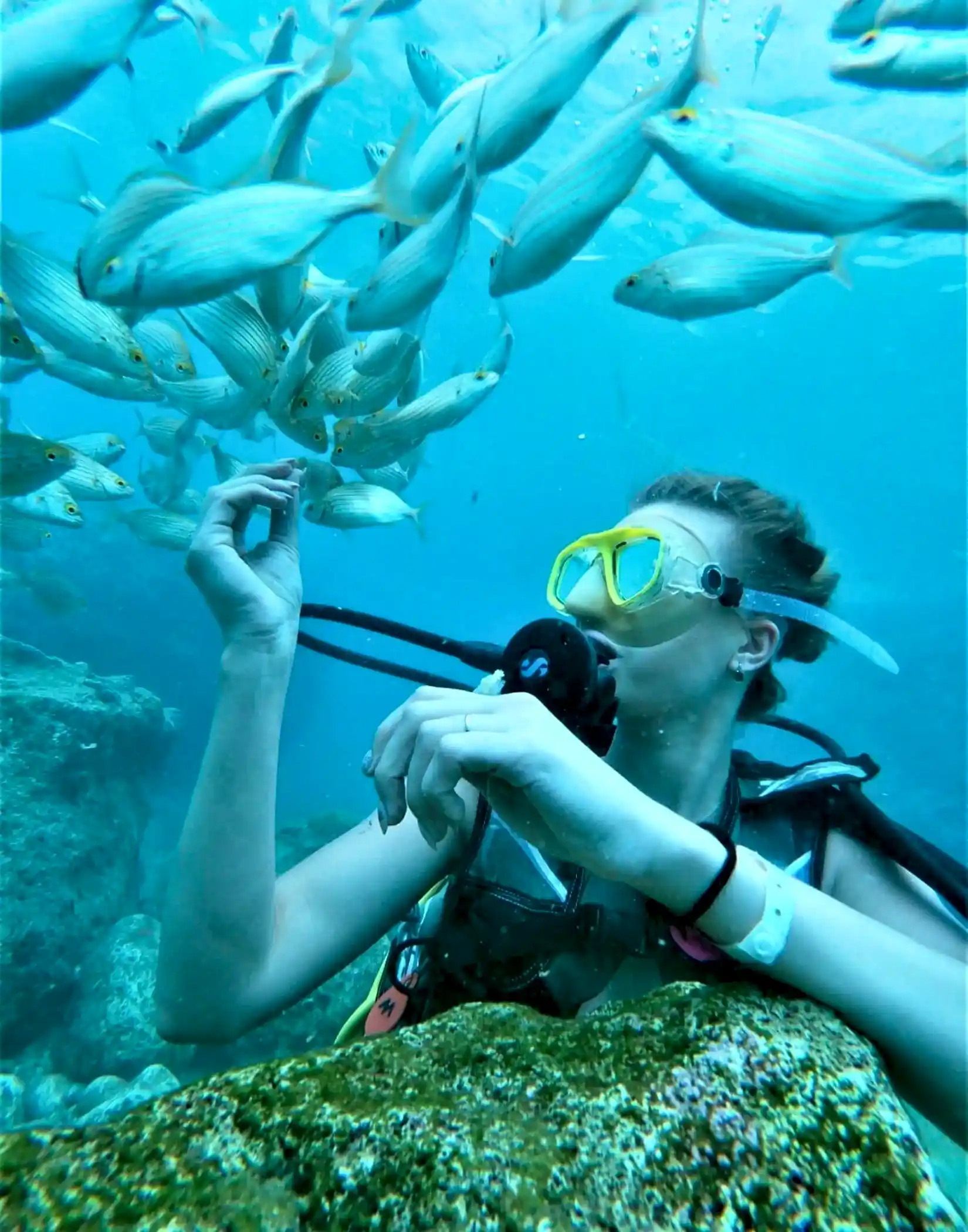 Kemer Dalış Turu