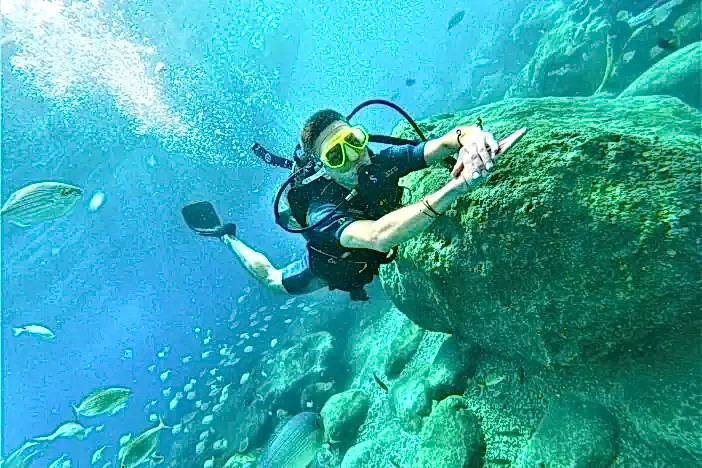 Kemer Dalış Turu