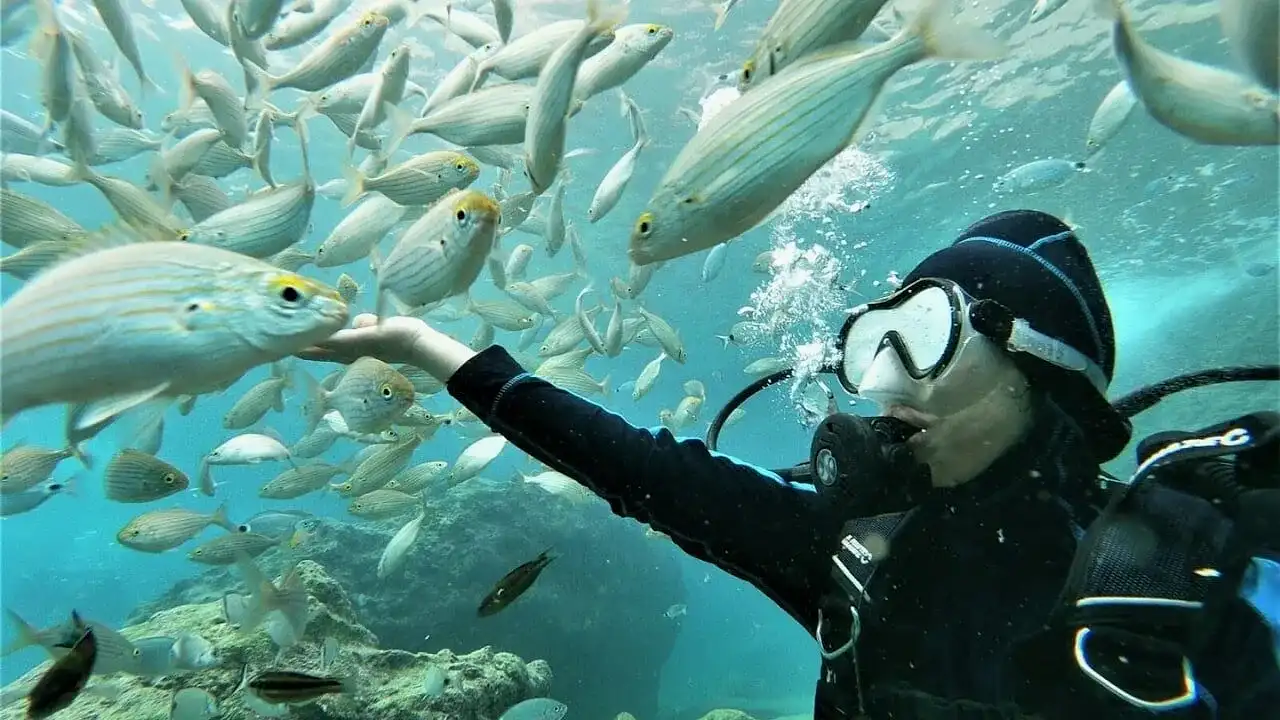 Kemer Dalış Turu