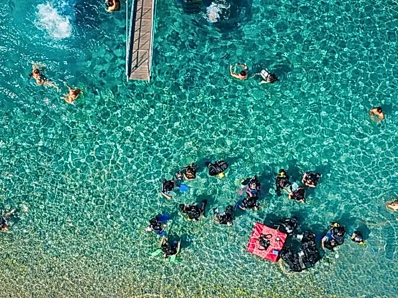Dalyan Koyu | İlk Dalış (5 metre, 20 dakika)
