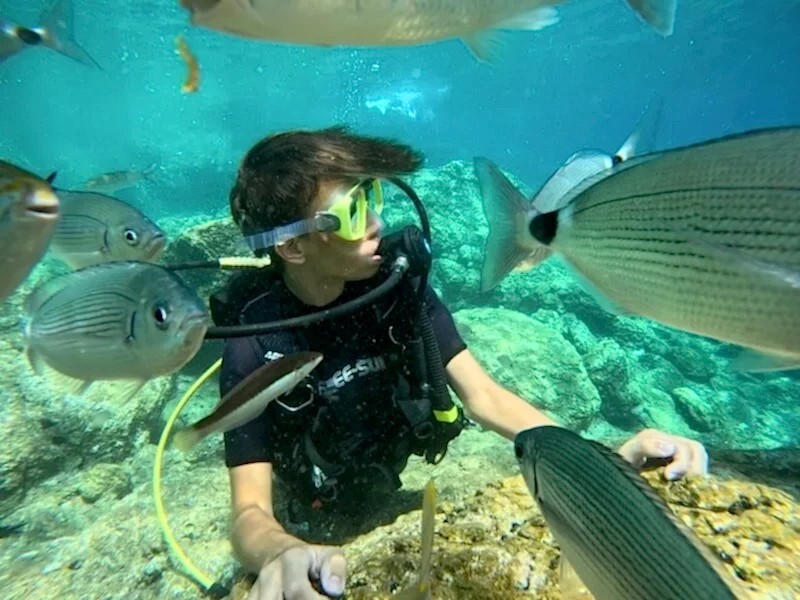 Marmaris Kıyılarında Bir Günlük Su Altı… İlk Deneyim İçin Uygun