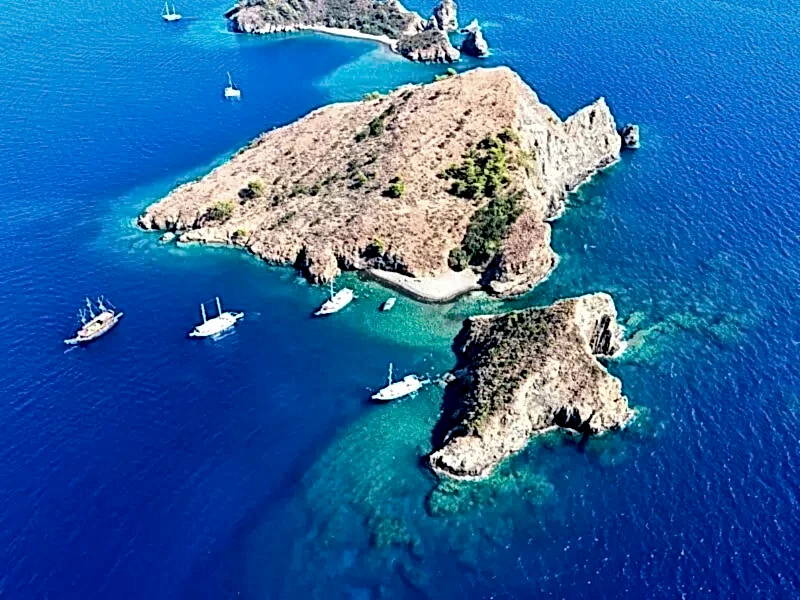 Tavşan Adası