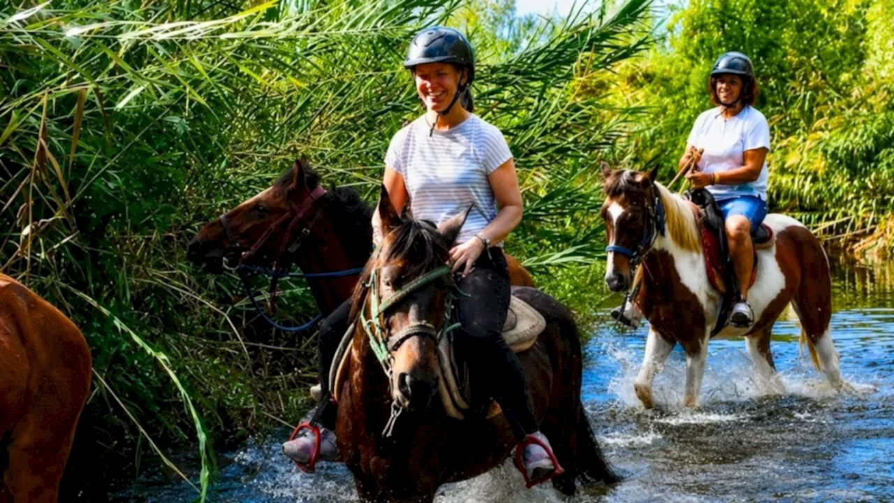 Marmaris At Safari Turu